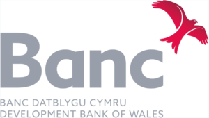 Development Bank of Wales logo